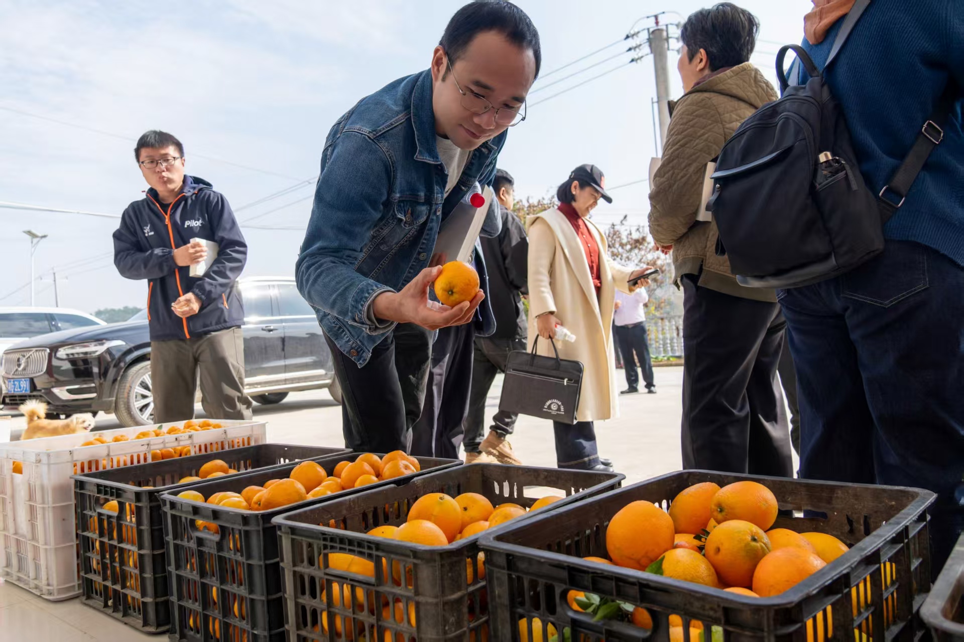 4e23acd472cdad319cf3bd9b74f40638